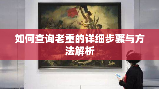 如何查询老重的详细步骤与方法解析