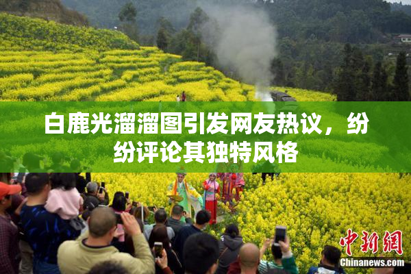 白鹿光溜溜图引发网友热议，纷纷评论其独特风格