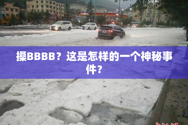搡BBBB？这是怎样的一个神秘事件？