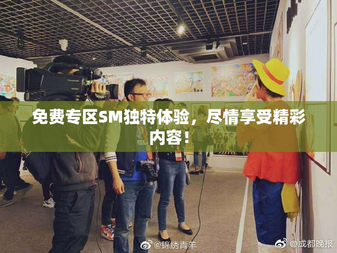 免费专区SM独特体验，尽情享受精彩内容！