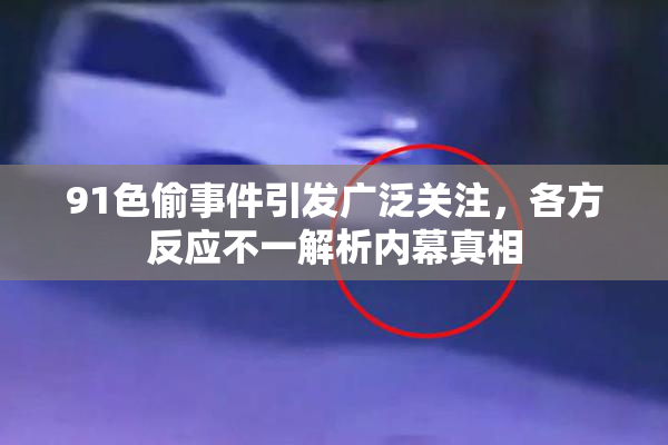 91色偷事件引发广泛关注，各方反应不一解析内幕真相