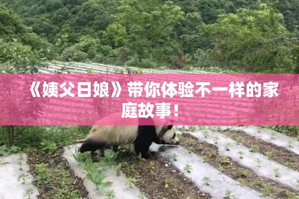 《姨父日娘》带你体验不一样的家庭故事！