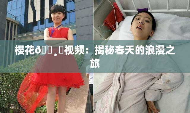 樱花🌸‌视频：揭秘春天的浪漫之旅
