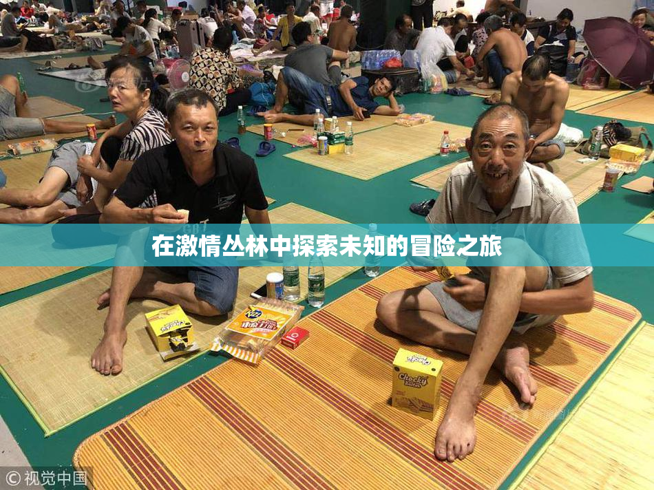 在激情丛林中探索未知的冒险之旅