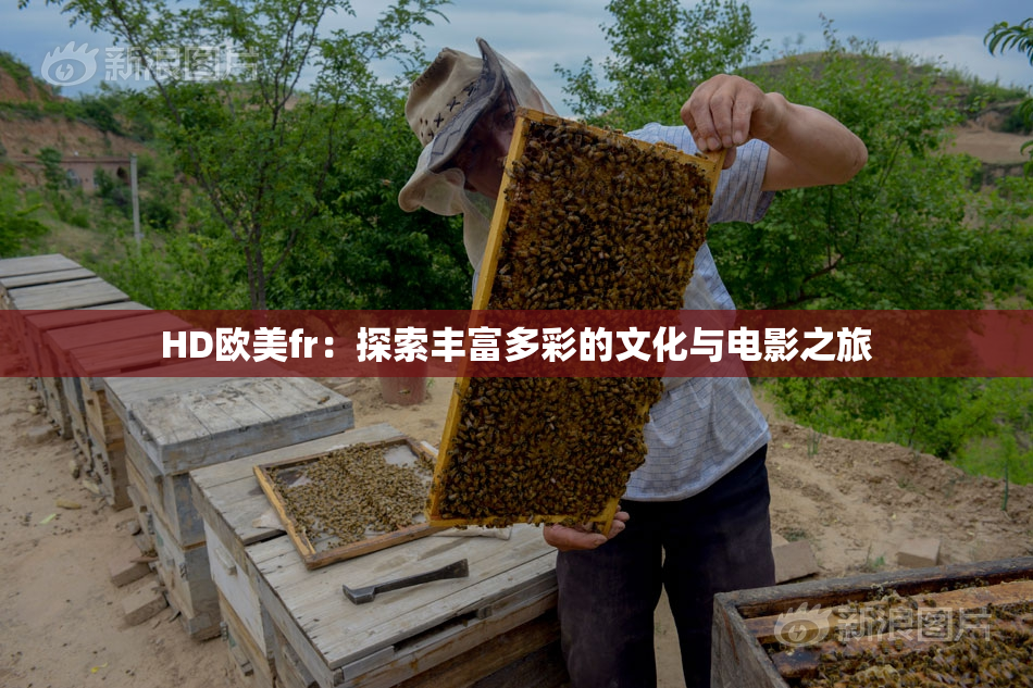 HD欧美fr：探索丰富多彩的文化与电影之旅