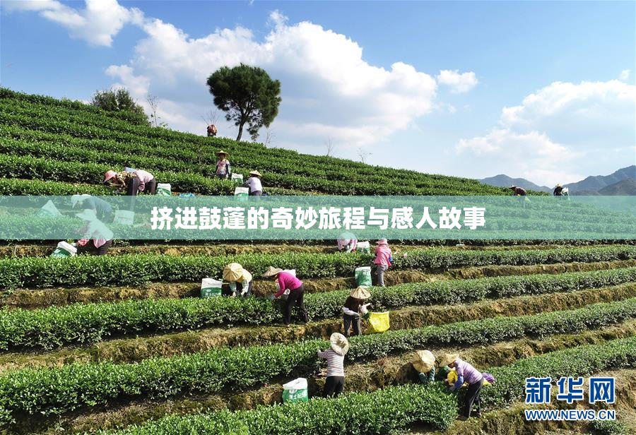挤进鼓蓬的奇妙旅程与感人故事