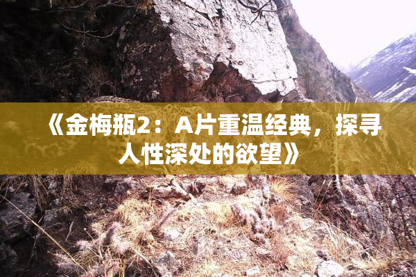 《金梅瓶2：A片重温经典，探寻人性深处的欲望》