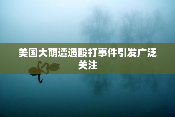 美国大荫遭遇殴打事件引发广泛关注