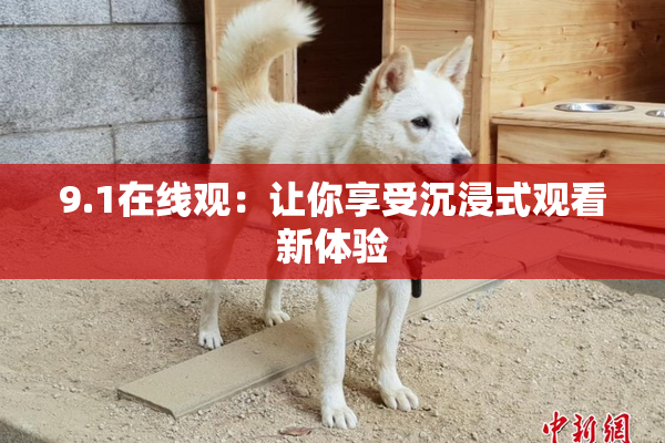 9.1在线观：让你享受沉浸式观看新体验