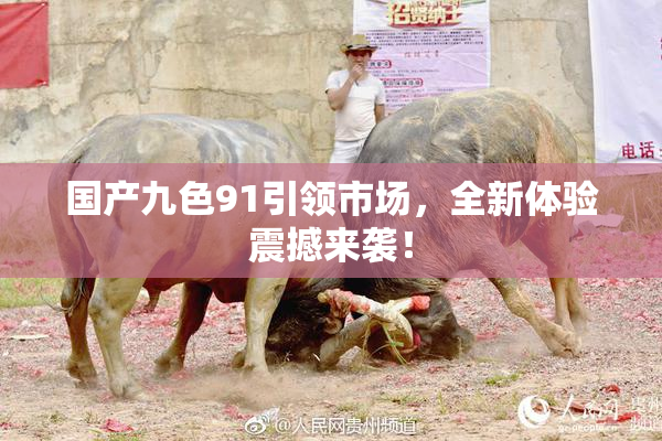 国产九色91引领市场，全新体验震撼来袭！