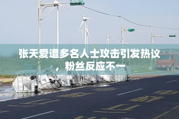 张天爱遭多名人士攻击引发热议，粉丝反应不一