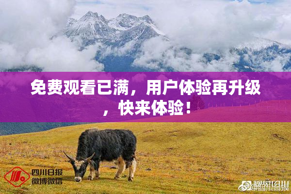 免费观看已满，用户体验再升级，快来体验！