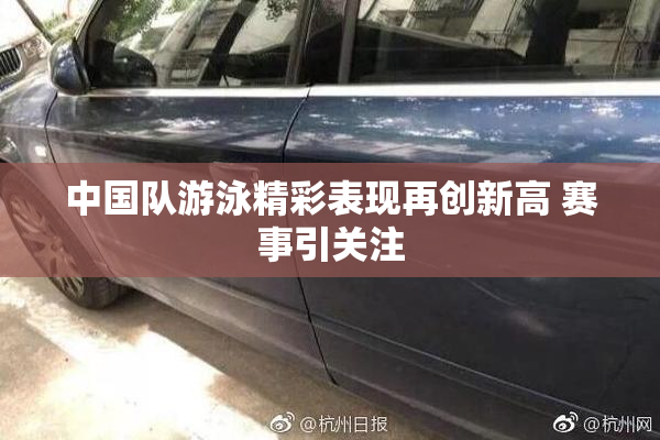 中国队游泳精彩表现再创新高 赛事引关注