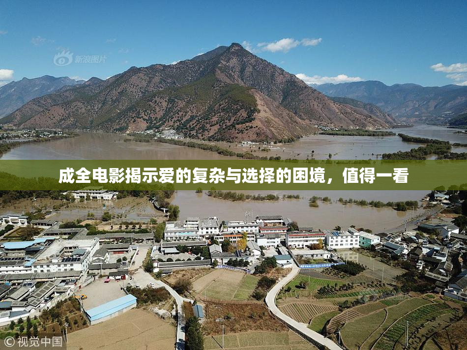 成全电影揭示爱的复杂与选择的困境，值得一看