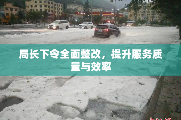 局长下令全面整改，提升服务质量与效率