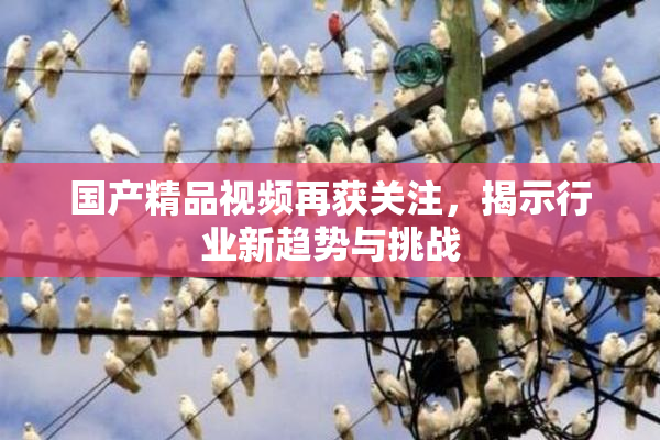 国产精品视频再获关注，揭示行业新趋势与挑战