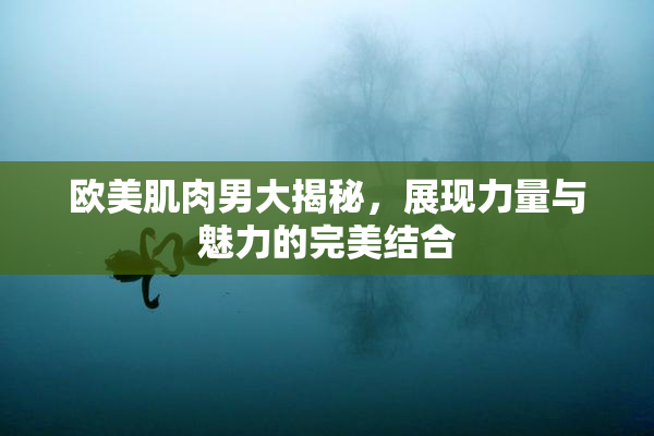 欧美肌肉男大揭秘，展现力量与魅力的完美结合