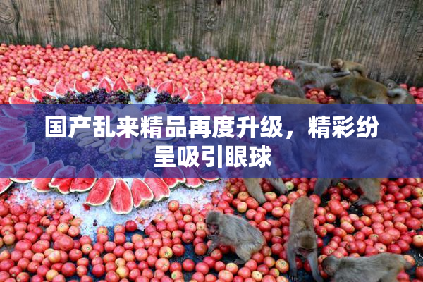 国产乱来精品再度升级，精彩纷呈吸引眼球
