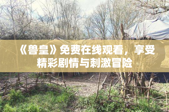 《兽皇》免费在线观看，享受精彩剧情与刺激冒险