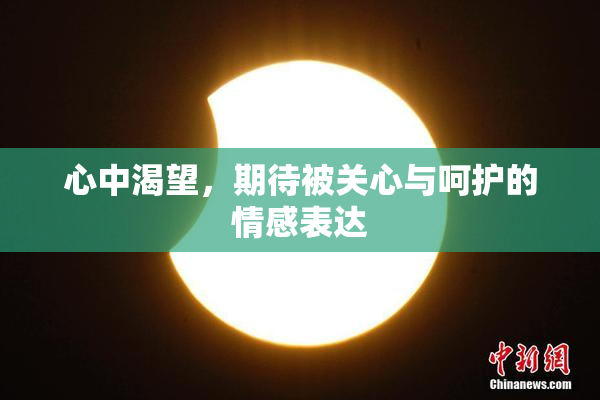 心中渴望，期待被关心与呵护的情感表达