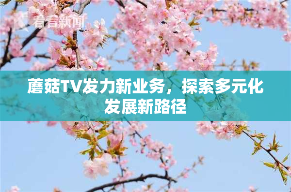 蘑菇TV发力新业务，探索多元化发展新路径