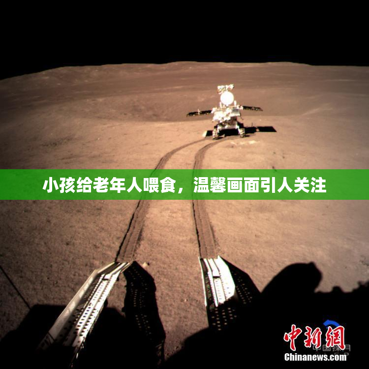 小孩给老年人喂食，温馨画面引人关注