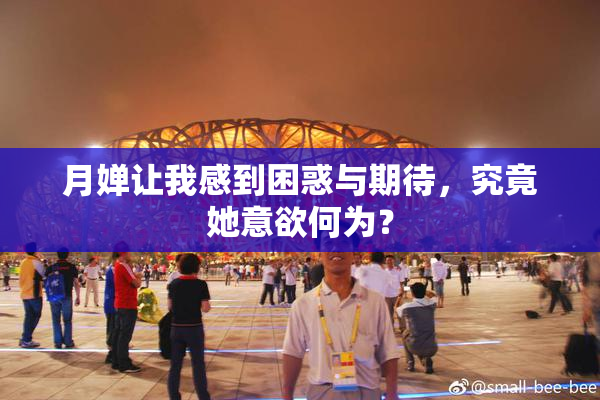 月婵让我感到困惑与期待，究竟她意欲何为？