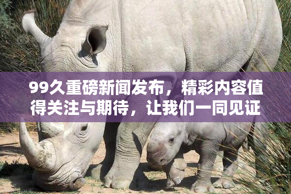 99久重磅新闻发布，精彩内容值得关注与期待，让我们一同见证！