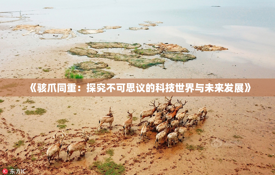 《骇爪同重：探究不可思议的科技世界与未来发展》