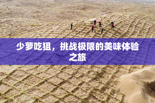 少萝吃狙，挑战极限的美味体验之旅