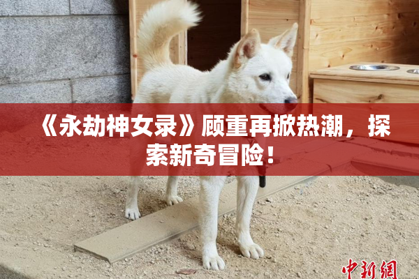 《永劫神女录》顾重再掀热潮，探索新奇冒险！