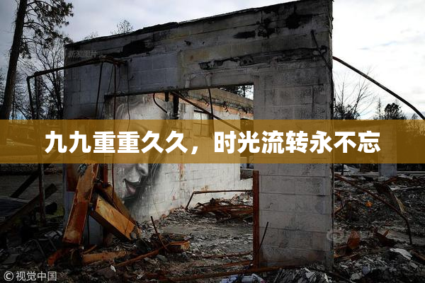 九九重重久久，时光流转永不忘