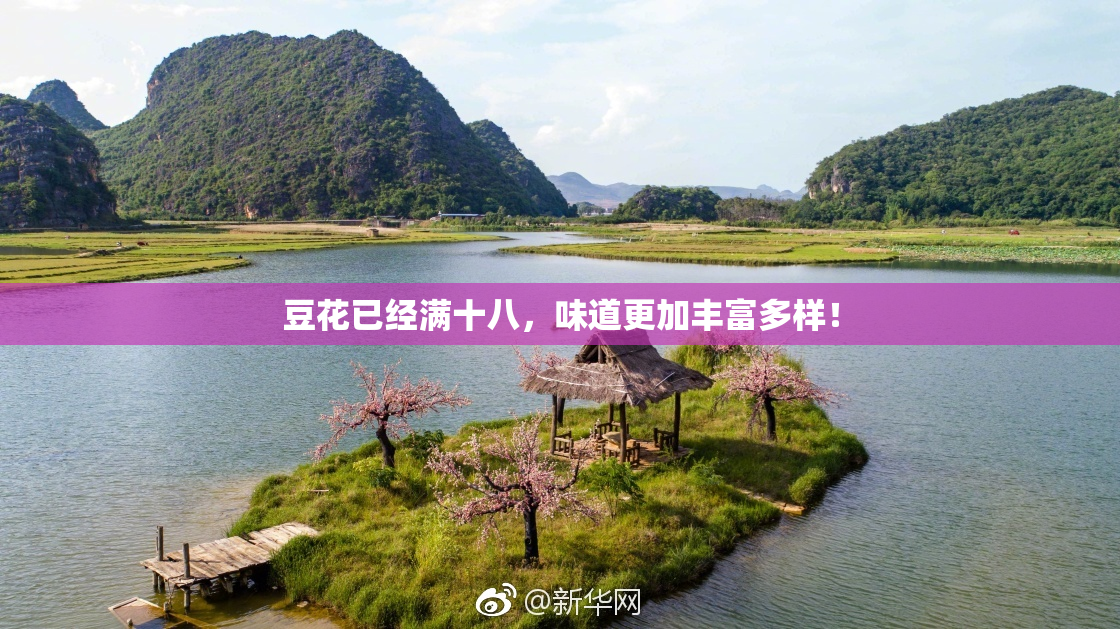 豆花已经满十八，味道更加丰富多样！