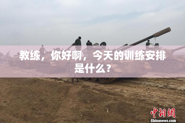 教练，你好啊，今天的训练安排是什么？