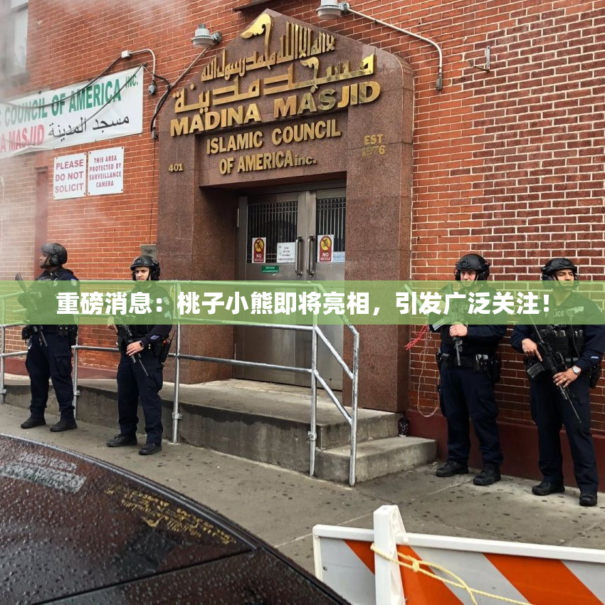 重磅消息：桃子小熊即将亮相，引发广泛关注！