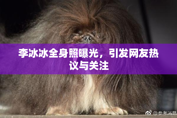李冰冰全身照曝光，引发网友热议与关注