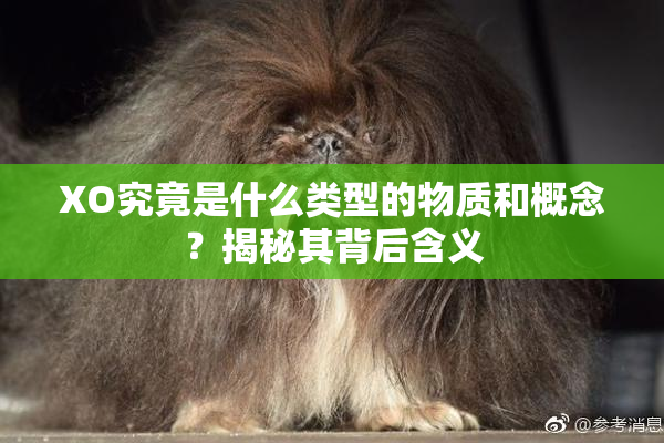 XO究竟是什么类型的物质和概念？揭秘其背后含义