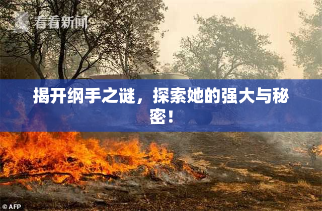揭开纲手之谜，探索她的强大与秘密！