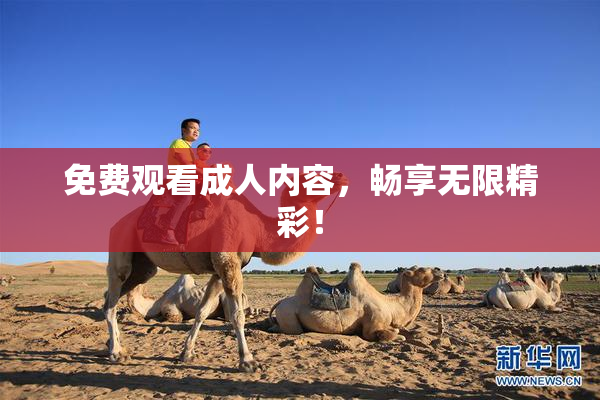 免费观看成人内容，畅享无限精彩！