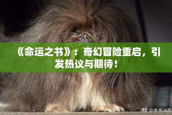 《命运之书》：奇幻冒险重启，引发热议与期待！