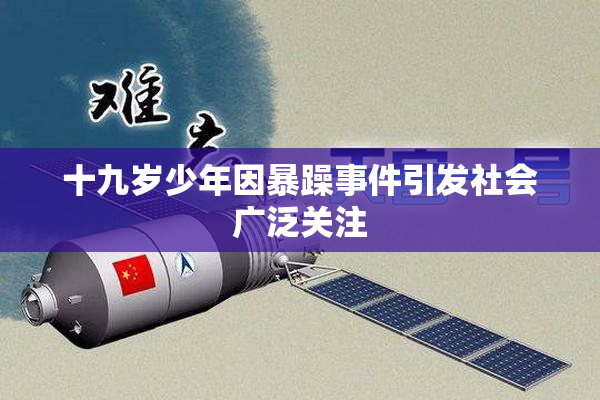 十九岁少年因暴躁事件引发社会广泛关注