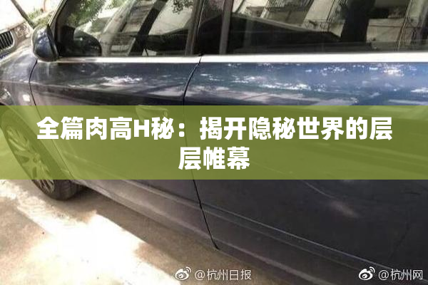 全篇肉高H秘：揭开隐秘世界的层层帷幕