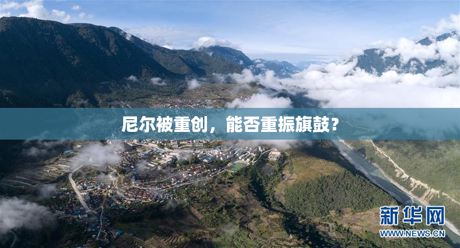 尼尔被重创，能否重振旗鼓？