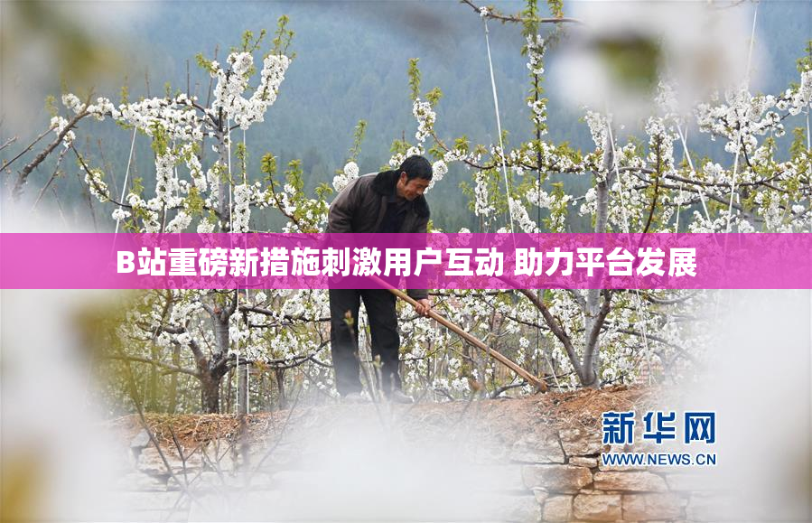 B站重磅新措施刺激用户互动 助力平台发展