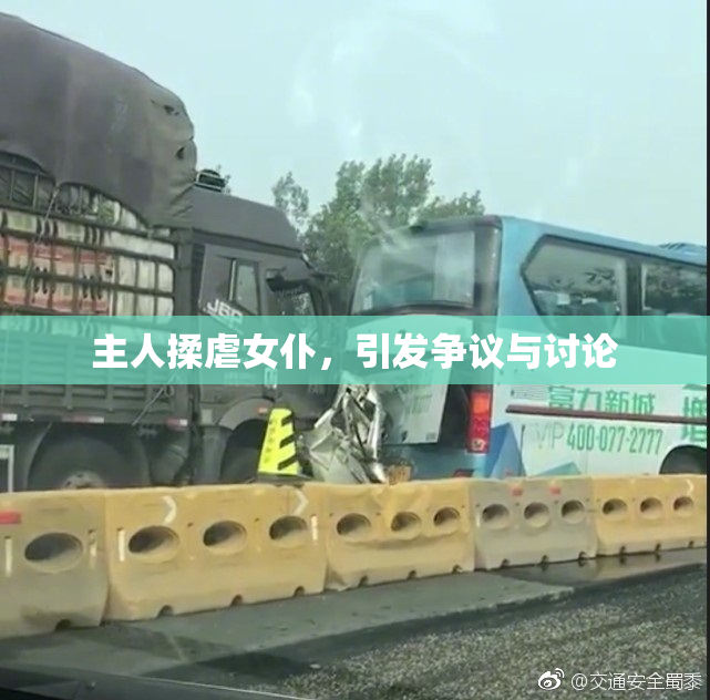 主人揉虐女仆，引发争议与讨论