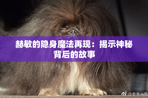 赫敏的隐身魔法再现：揭示神秘背后的故事