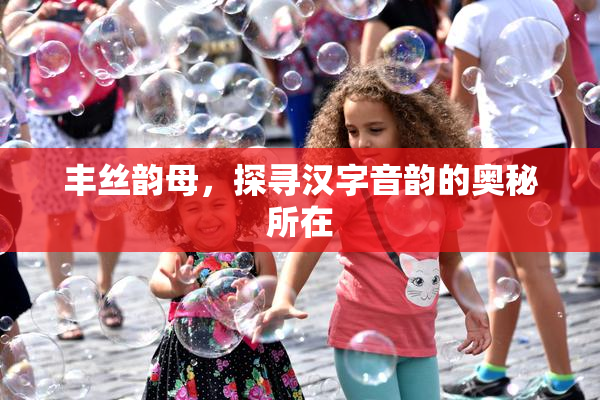 丰丝韵母，探寻汉字音韵的奥秘所在