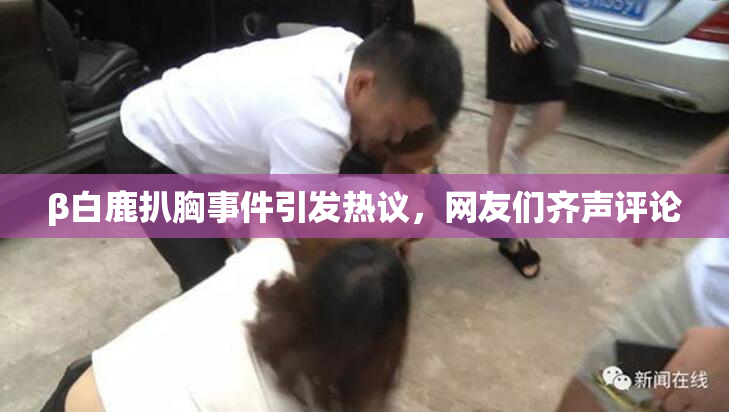 β白鹿扒胸事件引发热议，网友们齐声评论