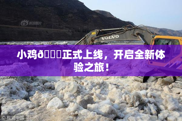 小鸡🐔正式上线，开启全新体验之旅！
