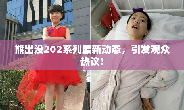 熊出没202系列最新动态，引发观众热议！